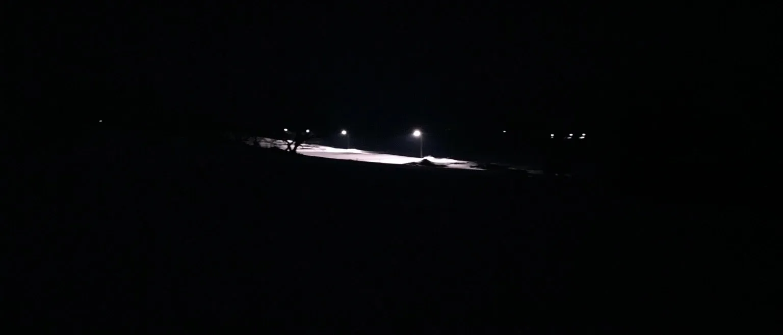 A dark hillside road, a bare tree in silhouette beside a lit clearing, streetlights glowing faintly beyond.