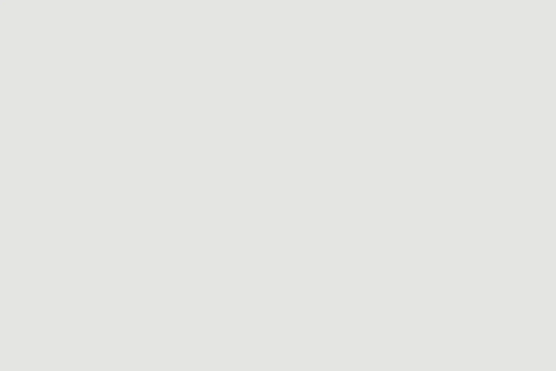 Placeholder — a flat near-white field.