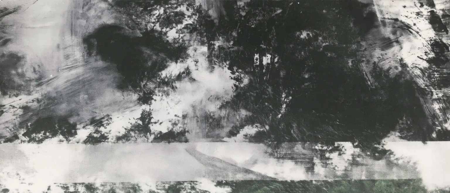 Dark clouds of ink drifting over a pale band.