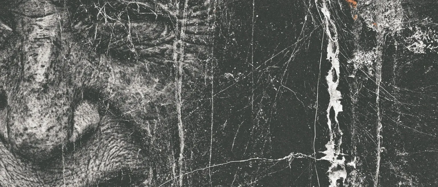 A face at the left edge, half dissolved into scored black.