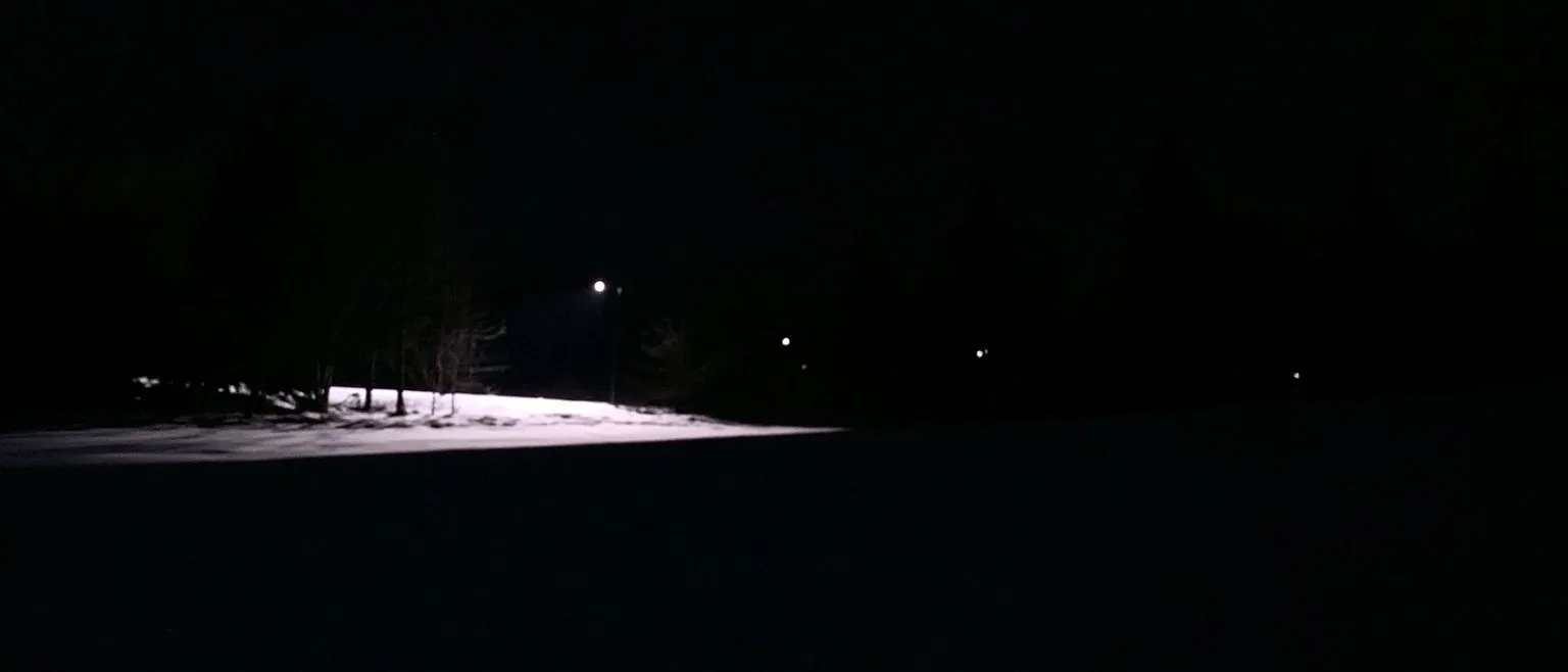 A streetlamp lighting a patch of snow among dark trees, more lights scattered faintly in the distance.