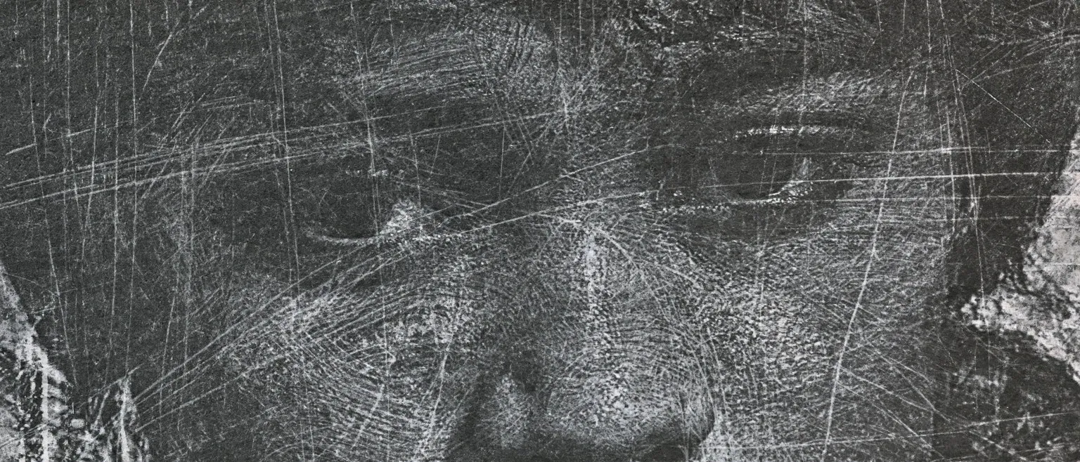 A nose and eyes emerging from a field of fine white cross-hatching.